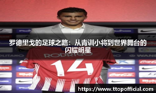 JN江南体育官网